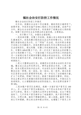 2024年镇社会治安打防控工作情况