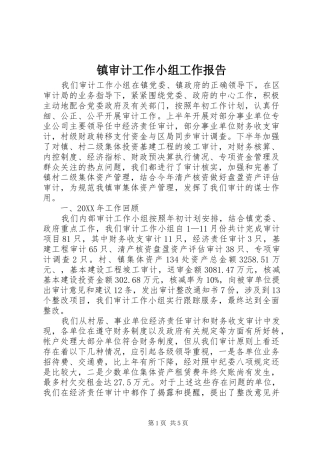 2024年镇审计工作小组工作报告