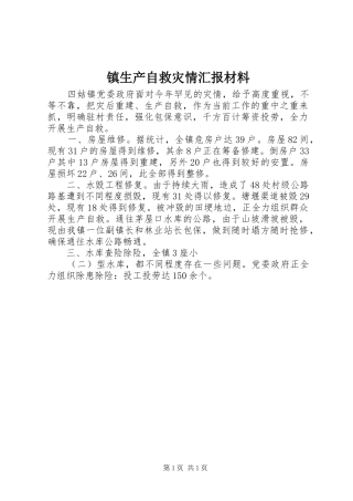 2024年镇生产自救灾情汇报材料