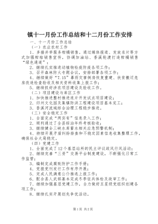 2024年镇十一月份工作总结和十二月份工作安排