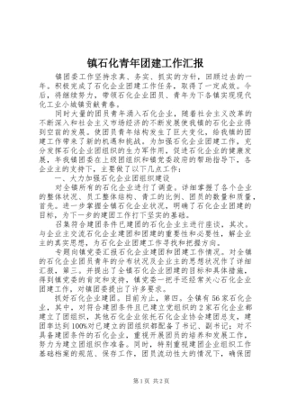 2024年镇石化青年团建工作汇报