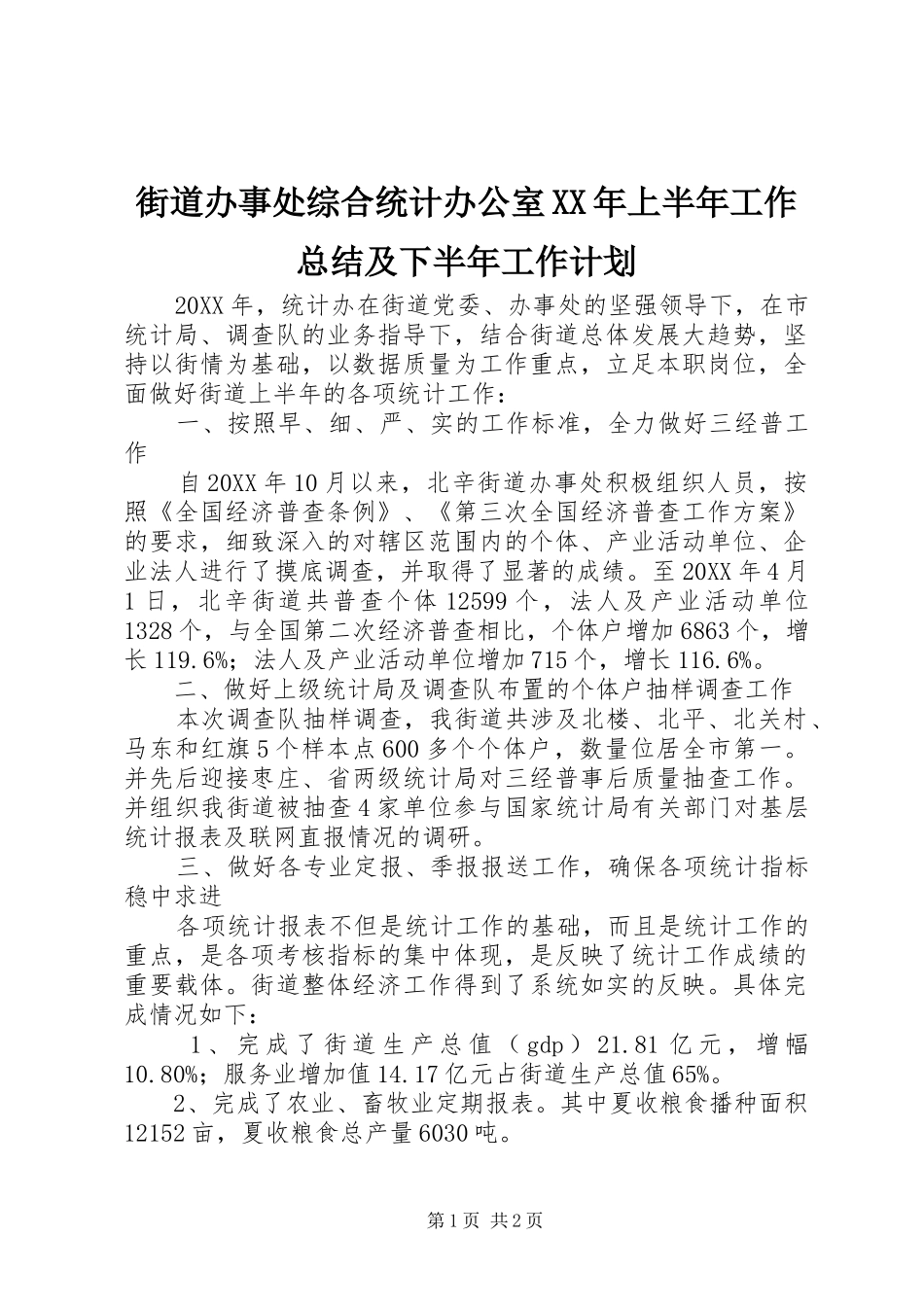 2024年街道办事处综合统计办公室上半年工作总结及下半年工作计划_第1页