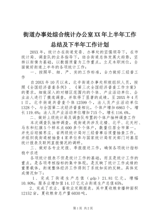 2024年街道办事处综合统计办公室上半年工作总结及下半年工作计划