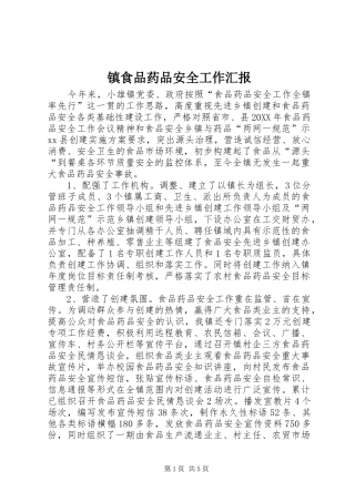 2024年镇食品药品安全工作汇报