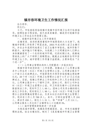 2024年镇市容环境卫生工作情况汇报