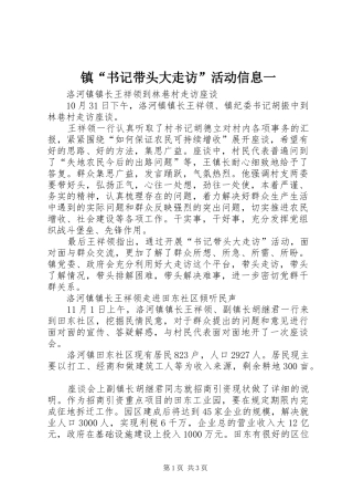 2024年镇书记带头大走访活动信息一