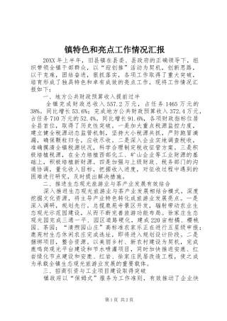2024年镇特色和亮点工作情况汇报