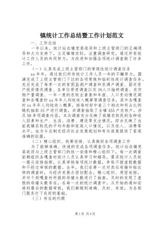2024年镇统计工作总结暨工作计划范文