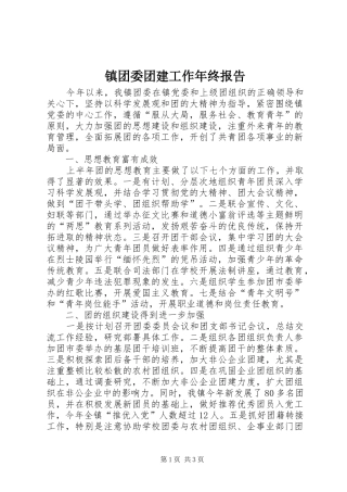2024年镇团委团建工作年终报告