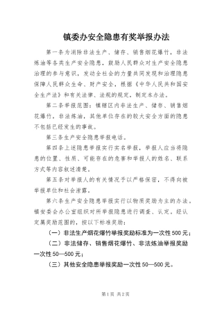 2024年镇委办安全隐患有奖举报办法
