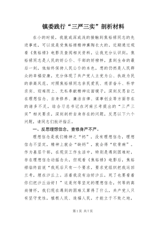 2024年镇委践行三严三实剖析材料