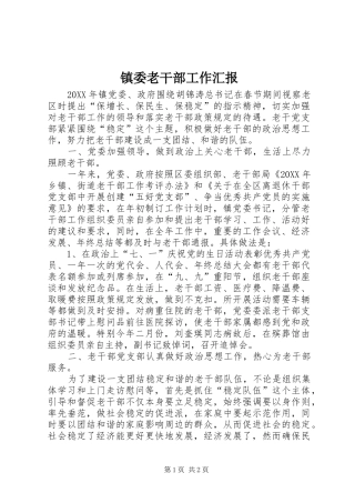 2024年镇委老干部工作汇报