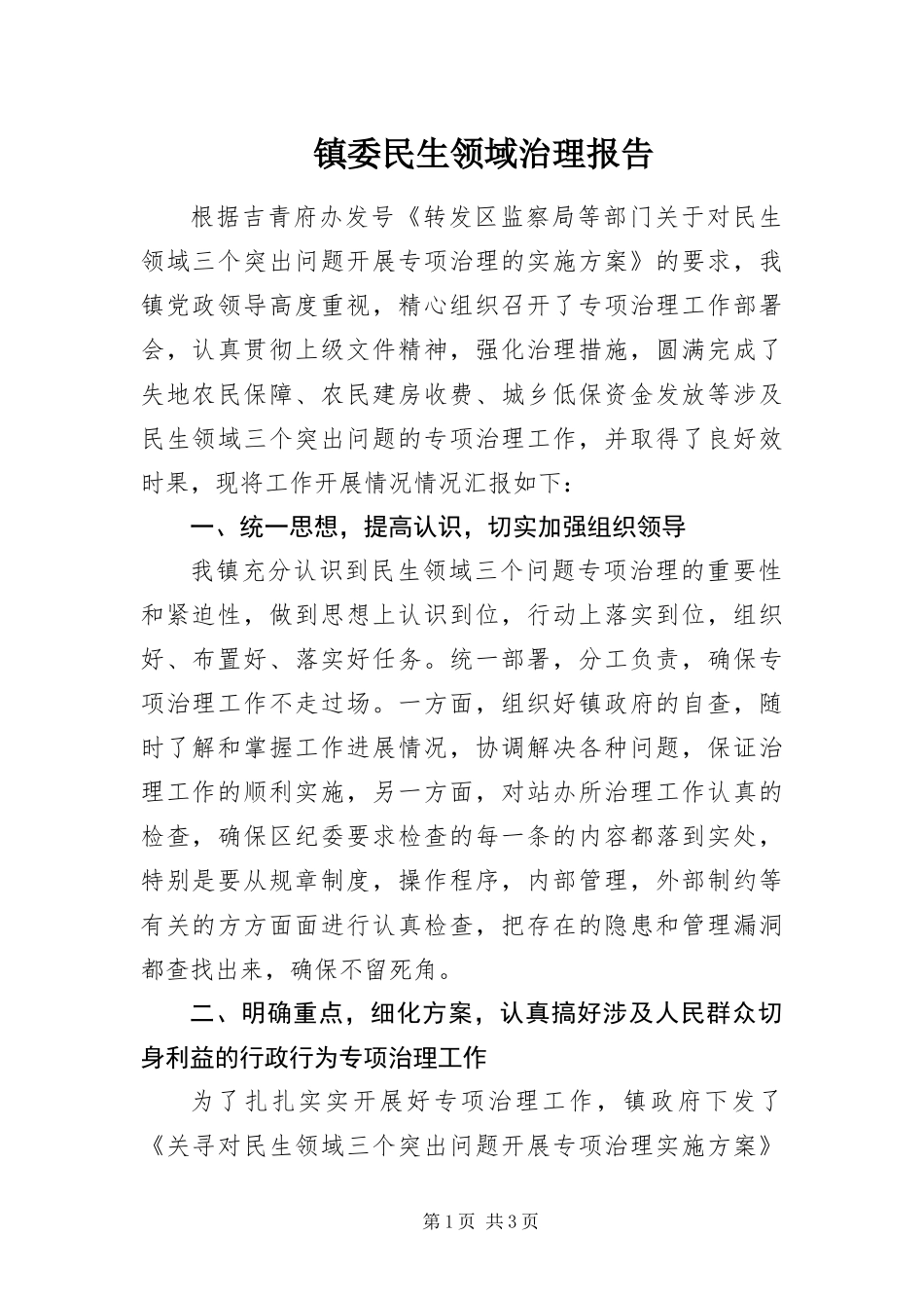 2024年镇委民生领域治理报告_第1页