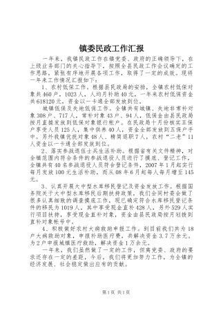 2024年镇委民政工作汇报