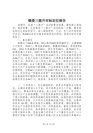 2024年镇委三提升对标定位报告