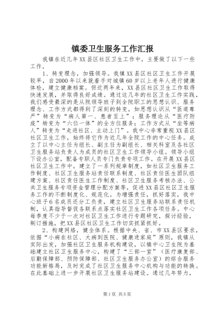 2024年镇委卫生服务工作汇报