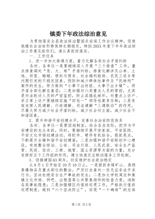 2024年镇委下年政法综治意见
