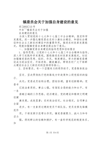 2024年镇委员会关于加强自身建设的意见