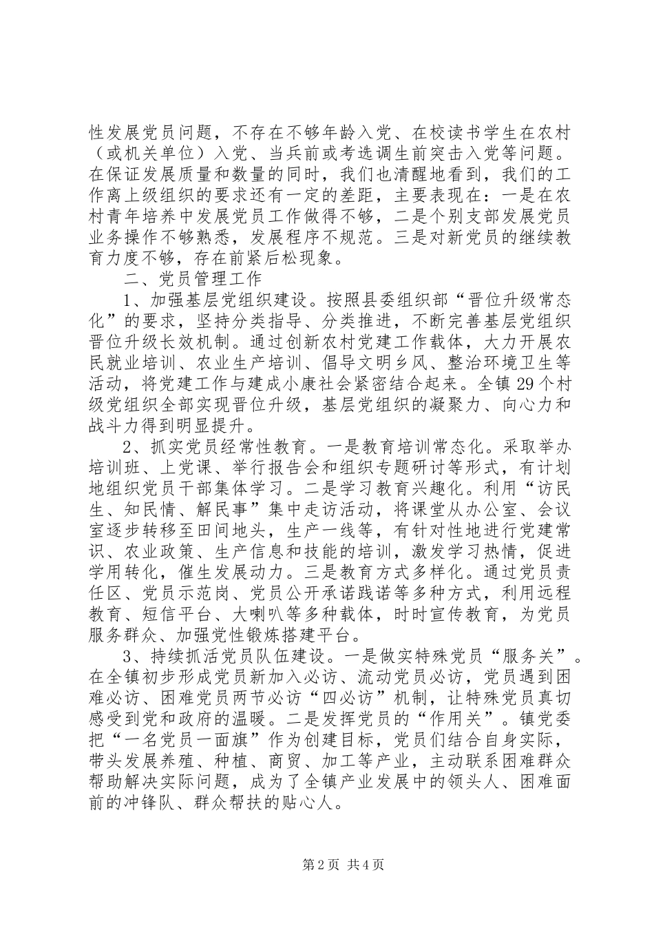 2024年镇委员会自查报告_第2页