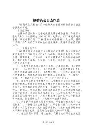 2024年镇委员会自查报告