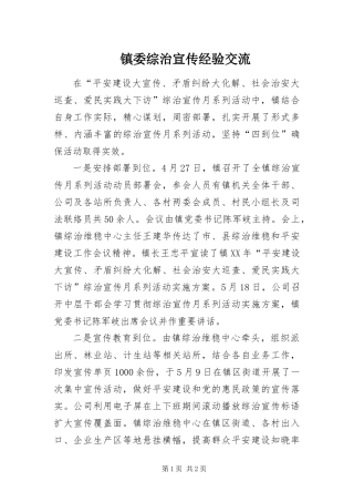 2024年镇委综治宣传经验交流