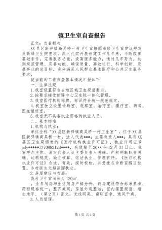 2024年镇卫生室自查报告