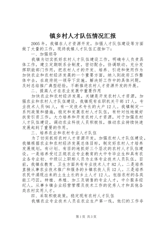 2024年镇乡村人才队伍情况汇报