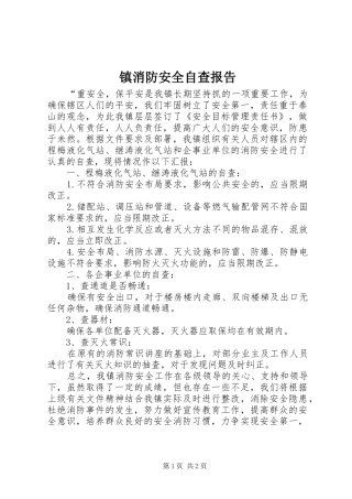 2024年镇消防安全自查报告