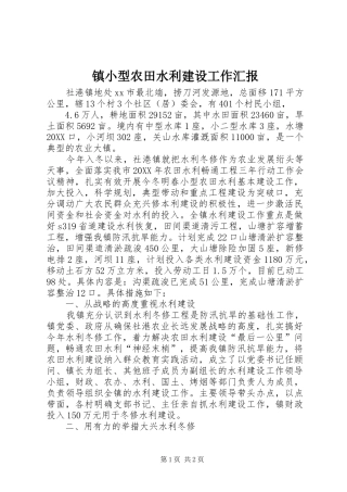 2024年镇小型农田水利建设工作汇报