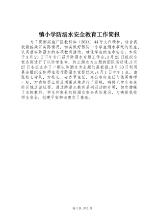 2024年镇小学防溺水安全教育工作简报