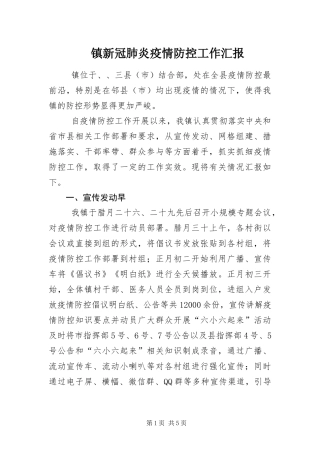 2024年镇新冠肺炎疫情防控工作汇报