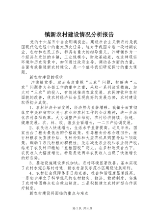 2024年镇新农村建设情况分析报告
