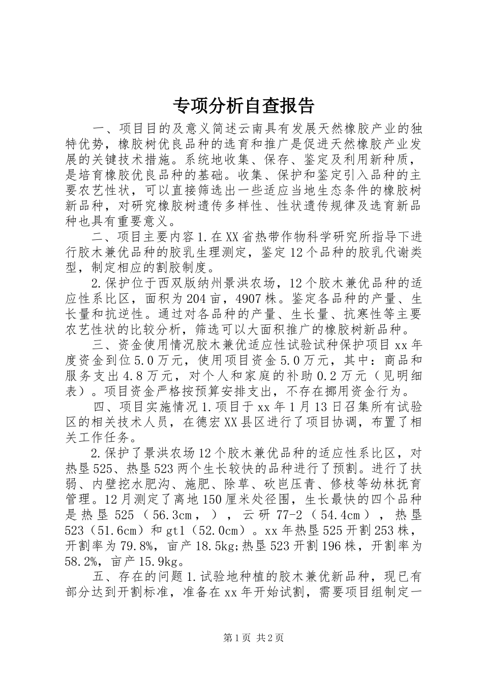 2024年专项分析自查报告_第1页