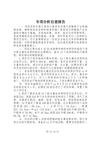 2024年专项分析自查报告