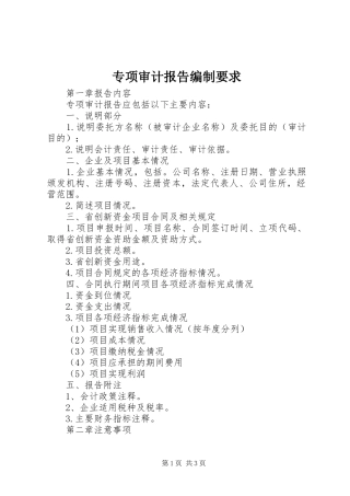 2024年专项审计报告编制要求