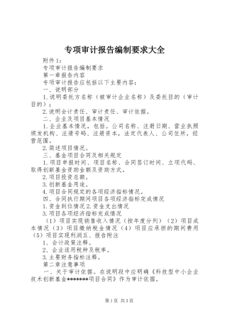 2024年专项审计报告编制要求大全