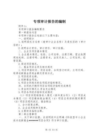 2024年专项审计报告的编制