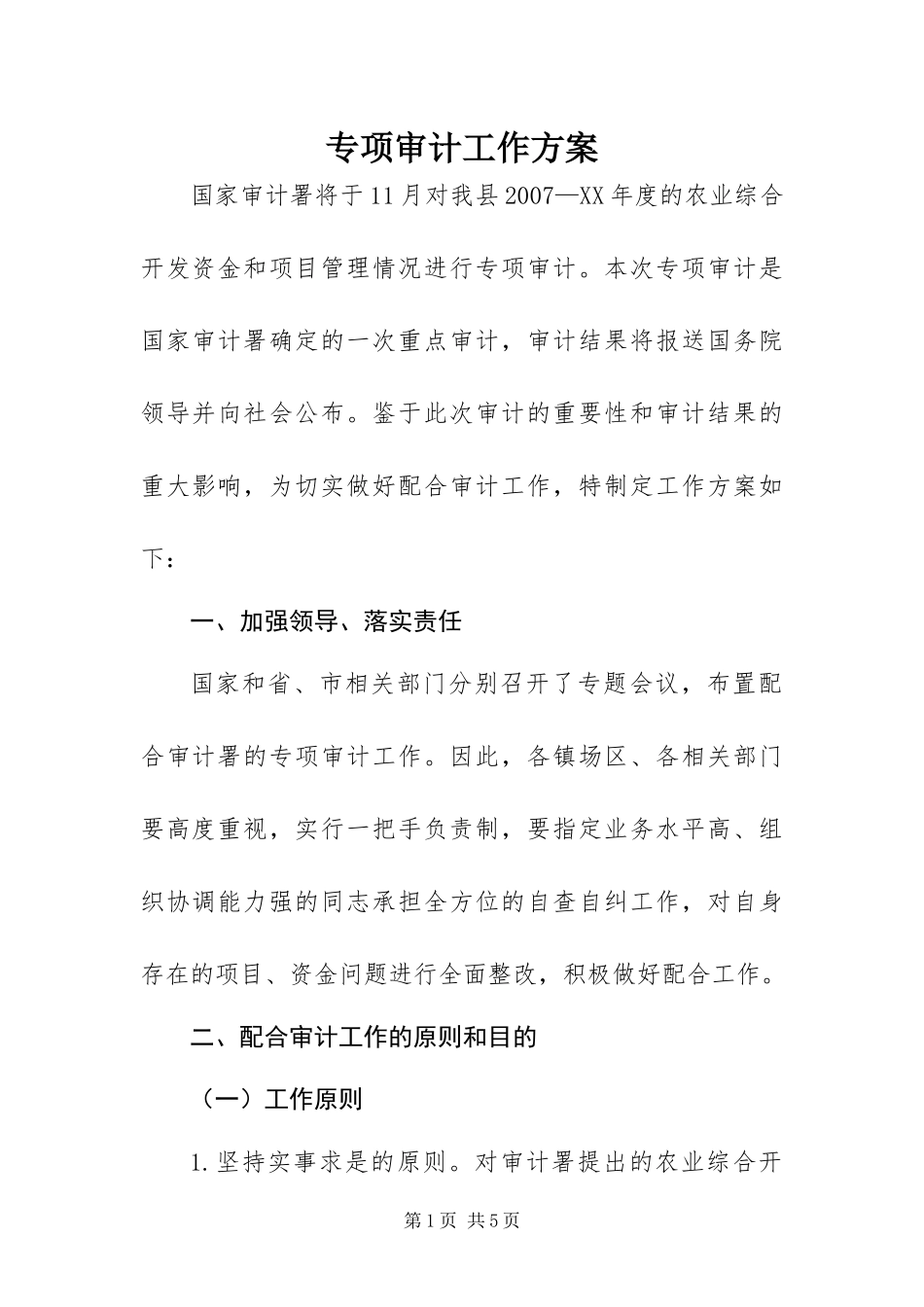 2024年专项审计工作方案_第1页