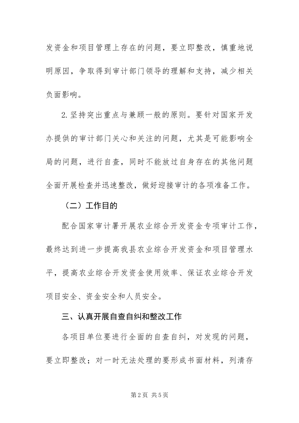 2024年专项审计工作方案_第2页