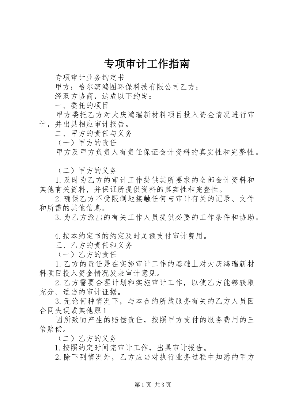 2024年专项审计工作指南_第1页