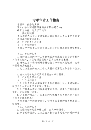 2024年专项审计工作指南