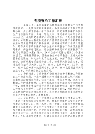 2024年专项整治工作汇报