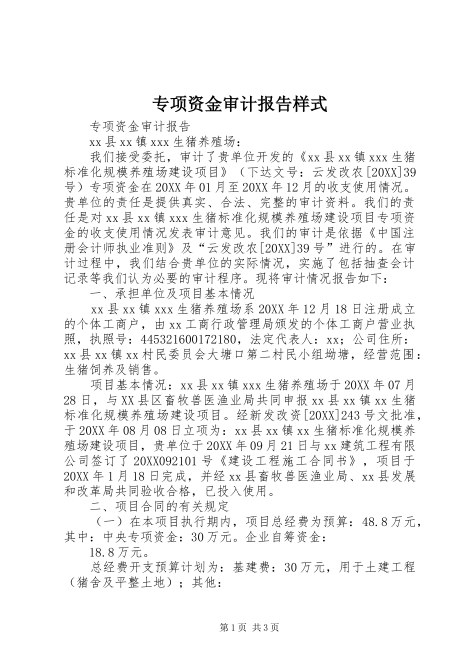 2024年专项资金审计报告样式_第1页
