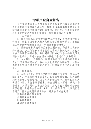 2024年专项资金自查报告