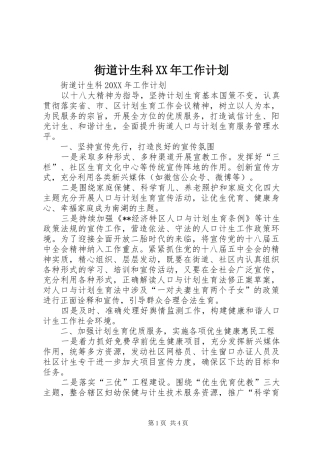 2024年街道计生科工作计划