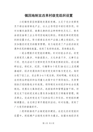 2024年镇因地制宜改革村级党组织设置