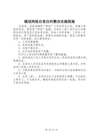 2024年镇迎两检自查自纠整改实施措施