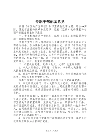 2024年专职干部配备意见