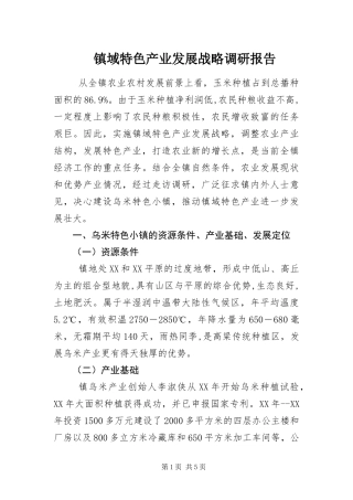 2024年镇域特色产业发展战略调研报告