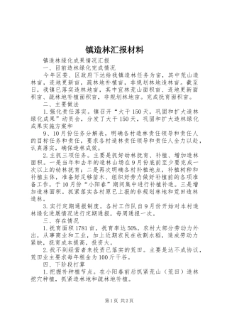 2024年镇造林汇报材料